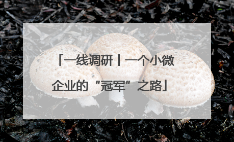 一线调研丨一个小微企业的“冠军”之路